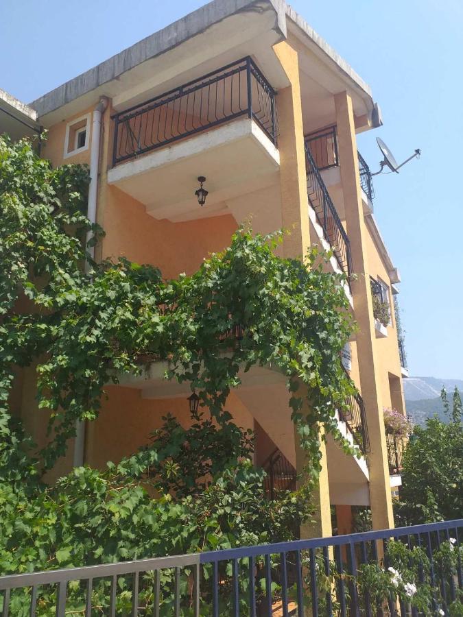 Guesthouse Djacic Budva Ngoại thất bức ảnh